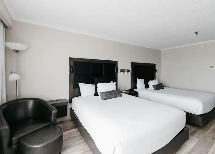 Hotel Universel Alma